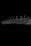 The Crystal Dewdrop Halo Crown - FB-CR04