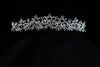 Sparkling Floral Crystal Lace Bridal Tiara - FB-CR72