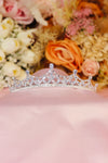 EternaBloom™ Willow Crystal Bridal Tiara