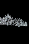 The Frosted Crystal Blossom Crown - FB-CR30