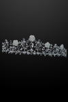 Ivory Rose Crystal Vine Crown-FB-CR01