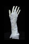 3D Floral Pearl Lace Bridal Hand Glove (Satin Finish) - FB-HG18